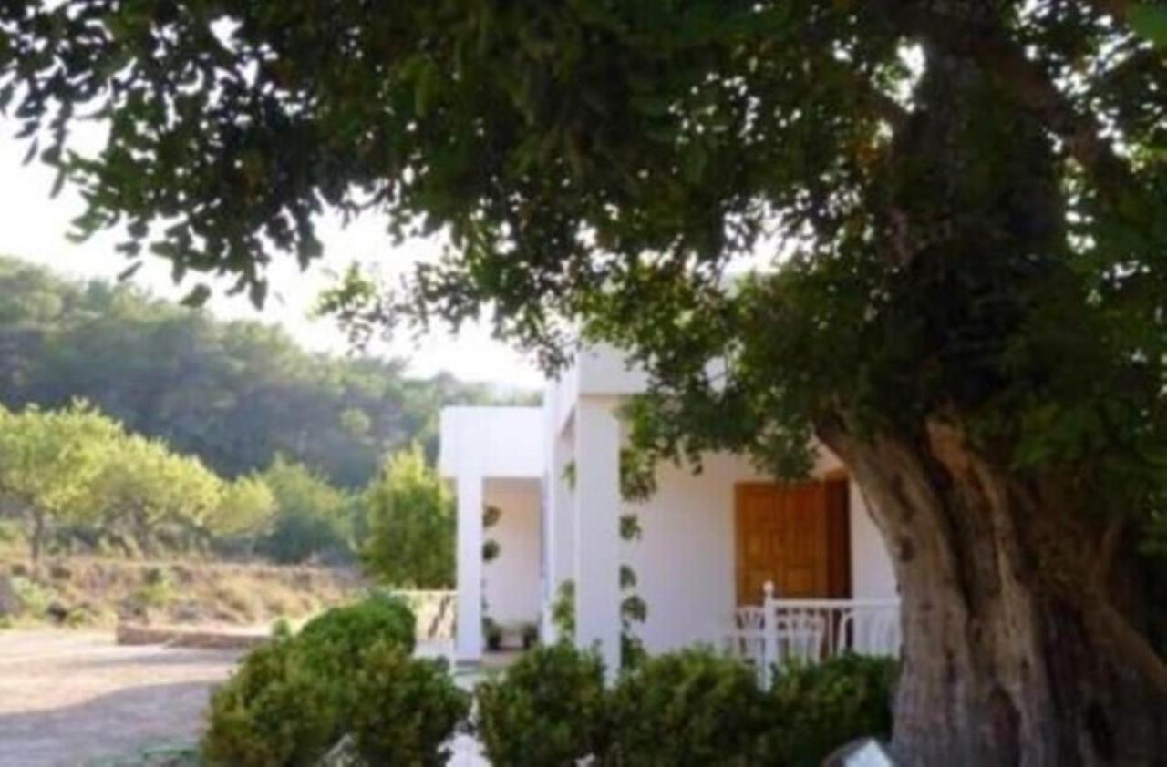 Can Ramon 산트 호셉 데 사 탈라이아 외부 사진